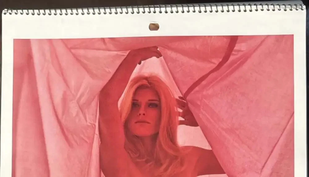 1973 Playboy Wall Calendar